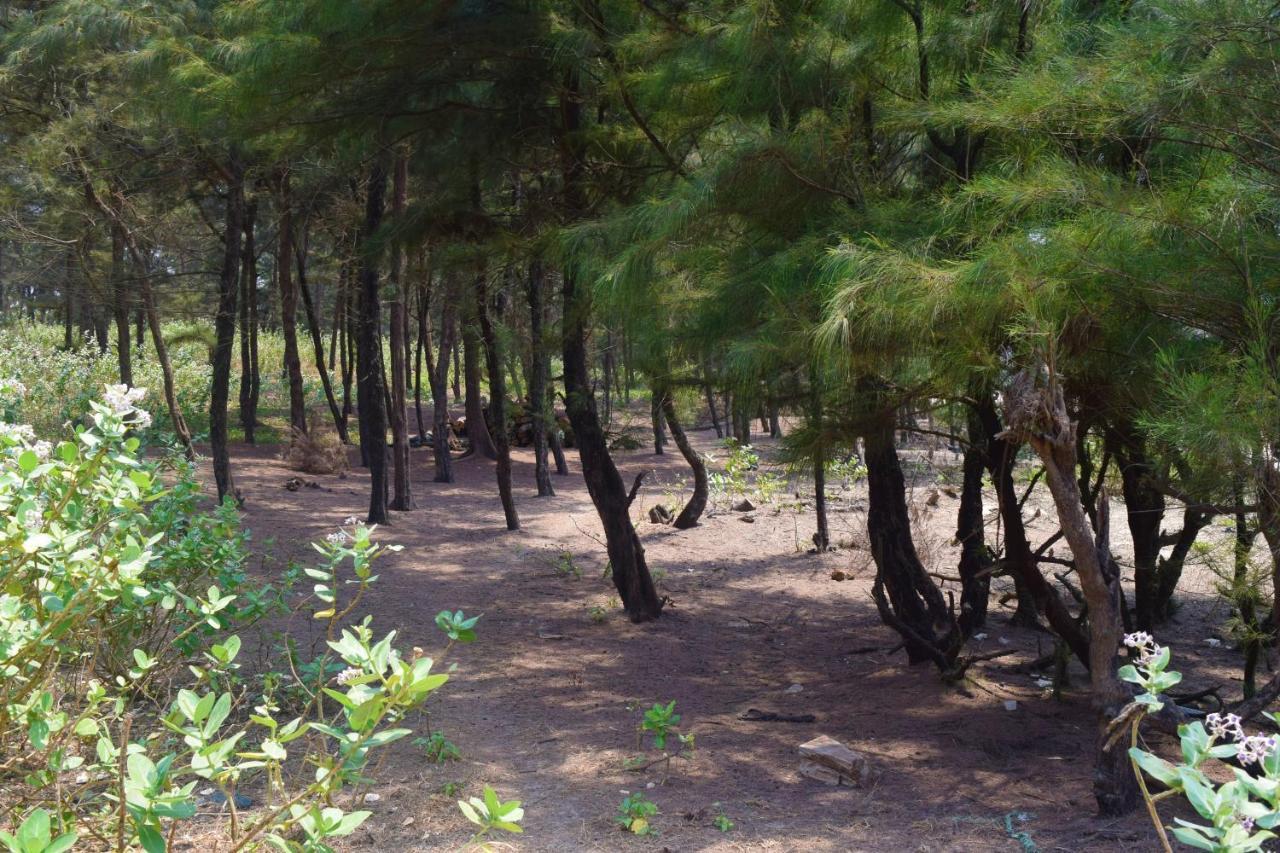 Pawas Rama Niwas Beach Home Stay מראה חיצוני תמונה