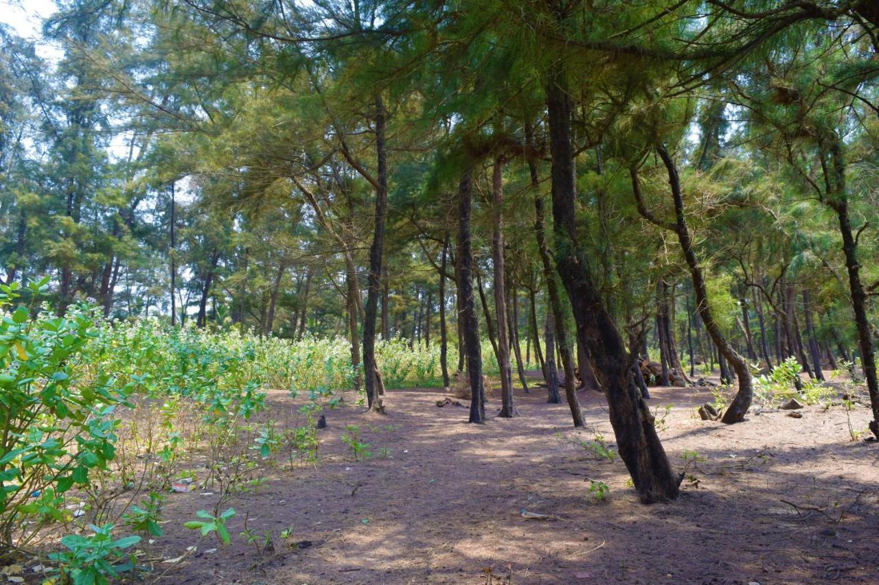 Pawas Rama Niwas Beach Home Stay מראה חיצוני תמונה